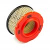Briggs & Stratton # 797819 Air Ca Filter