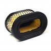 Briggs & Stratton # 497725S A/C Cartridge Filter