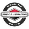 Briggs & Stratton # 230722 Breather Tube