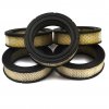 Briggs & Stratton # 4232 Filter (5 X 692519)
