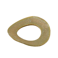 WASHER-SPRING   736-04173