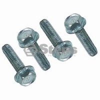 Stens 285-039 Hex Head Screw / AYP 173984