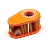 Briggs & Stratton # 792038 Air Ca Filter