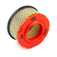 Briggs & Stratton # 797819 Air Ca Filter