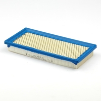 Briggs & Stratton # 710266 A/C Cartridge Filter