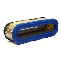 Briggs & Stratton # 399806S A/C Cartridge Filter