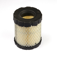 Briggs & Stratton # 798897 Air Filter