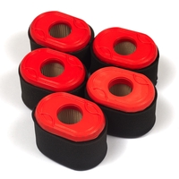 Briggs & Stratton # 4238 Filter (5 X 796970)