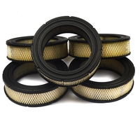 Briggs & Stratton # 4232 Filter (5 X 692519)