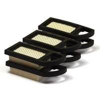 Briggs & Stratton # 4213 Filter (6 X 797007)
